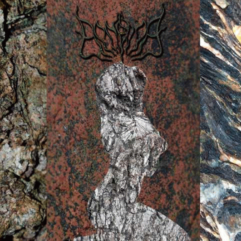 Apneica : Tra Rocce e Cortecce